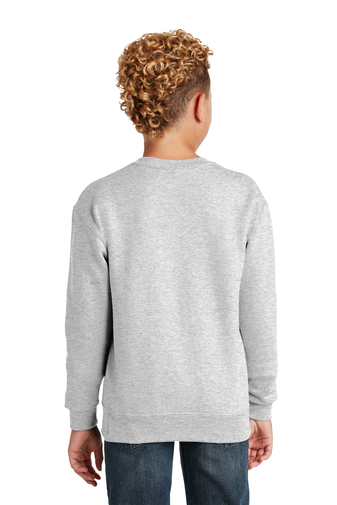 2738-Ash-2-562BAshModelBack2-337W Youth Crew Neck